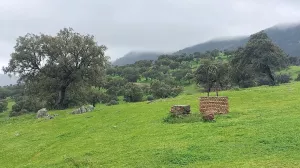 Finca de caza y ganadera en Valle de Alcudia