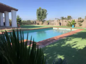 Finca regadío 4,5 ha con vivienda