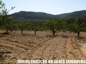 finca en venta 60 has. recreo Alicante