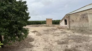 Finca de naranjos, olivar y Caserío.