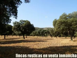 finca en venta 2.665 has. labor riego caza