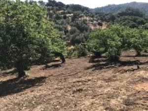 FINCA EN VENTA EN SIERRA DE ARACENA Y PICOS