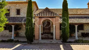 Finca residencial con olivar y viñedo