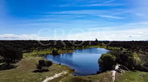 Finca con casa en venta en Sierra de Gredos