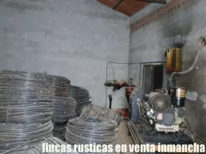 finca en venta 46 has. olivar tierra riego