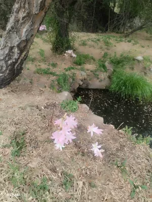 Finca en sierra de gata