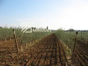 Vendo Finca de 123 Ha de Regadío en Teruel