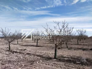 Vendo Finca de 50 Ha de Regadío en Bajo Cinca