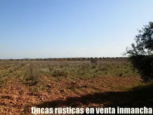 finca venta 22 has labor riego en Valdepeñas