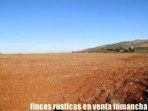 finca en venta 118 has. ciudad real