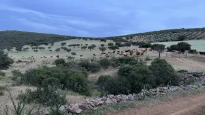 Finca de recreo con explotación agropecuaria