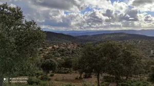 DEHESA FINCA GANADERA EN EXPLOTACIÓN