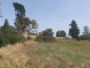 Terreno no urbanizable en Palma De Mallorca