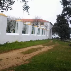 VENTA DEHESA AGROGANADERA. HIGUERA D L SERENA