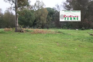 Finca de caza en Córdoba.