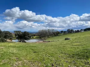 FINCA HIPICA Y DE RECREO EN MADRID - 1511