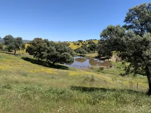 FINCA CINEGETICA EN JAEN - 1474