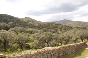 FINCA DE RECREO Y GANADERA EN SEVILLA - 1435