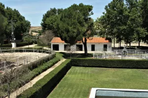 FINCA HIPICA EN MADRID