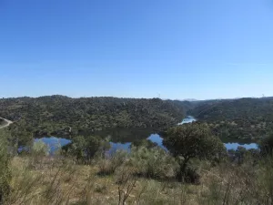 FINCA GANADERA EN TOLEDO