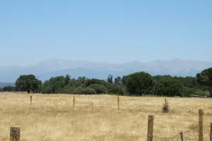 FINCA DE RECREO EN TOLEDO