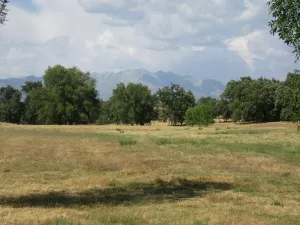 FINCA DE RECREO EN LA VERA