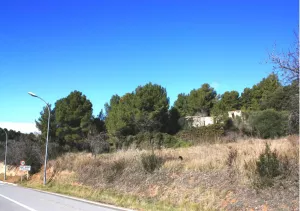 Finca con masia para rehabilitar en Penedès