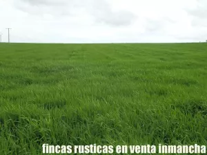 finca en venta 10 has. labor pastos recreo