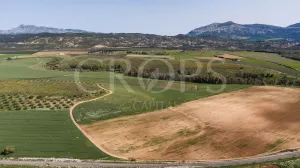 Finca agrícola de regadío en Málaga