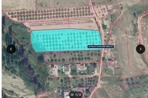 SE VENDE FINCA RÚSTICA