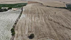 Finca agrícola en venta en Cádiz