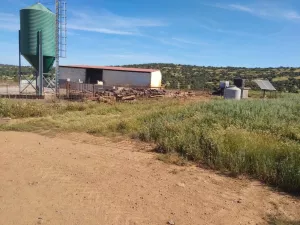 Explotación ganadera y cinegética en Córdoba