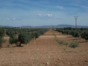 Finca de unas 400 hectáreas aproximadamente