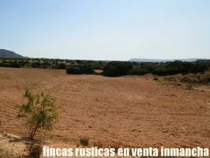 finca en venta 56 has. recreo caza menor
