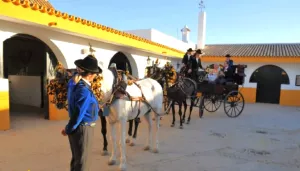 Finca agrícola con hotel 5* lujo en Sevilla