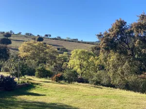 Finca en venta en Toledo