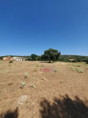 Finca de 343 Ha de tierra de labor y caza