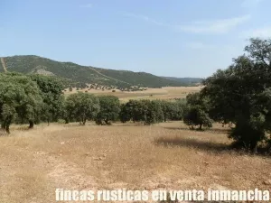 venta 570 has. caza mayor en Ciudad Real