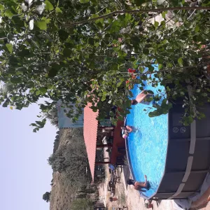 chalet Autosuficiente con Olivar Ecológico