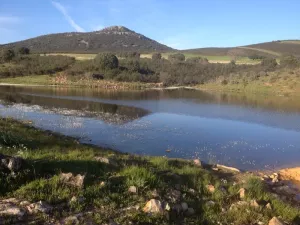 Finca rústica agrícola, ganadera y cinegética