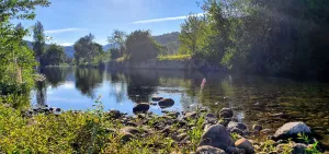 Se vende parcela y cabaña
