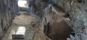 Almendro ecológico con 2 cortijos