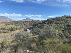Finca, 46,5 hectáreas, con ruina,  Toledo