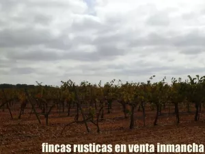 finca en venta 42 has viña regadío Cuenca