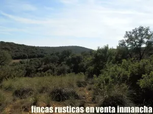 finca en venta 267 has. caza menor labor