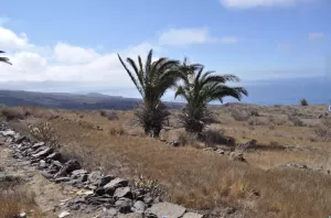 Finca Rústica La Gomera (Canarias)