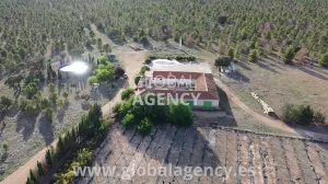 Cortijo con 92 hectáreas en Albacete