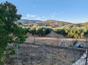 Terreno rústico con casa