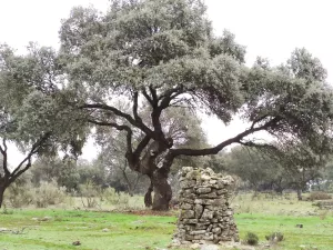 Finca de recreo