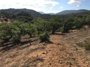 FINCA EN VENTA EN SIERRA DE ARACENA Y PICOS